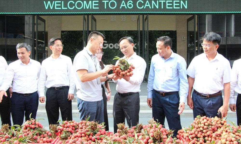 Mb6623 Thiên đường trò chơi trong khu Mocbai66 Đăng ký thành viên mới chung tay tiêu thụ hơn 100 tấn vải thiều